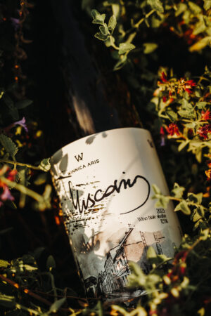 wino ze szczepu muscaris