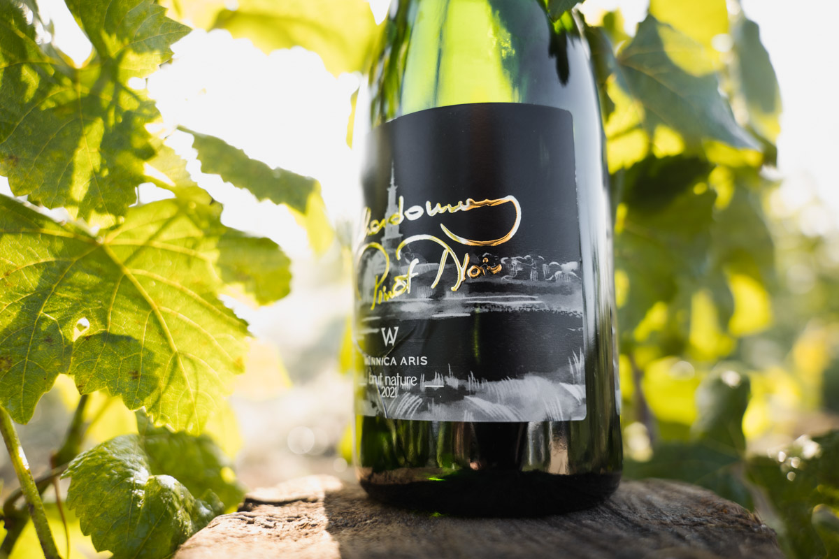 pinot noir-szczep warty uwagi