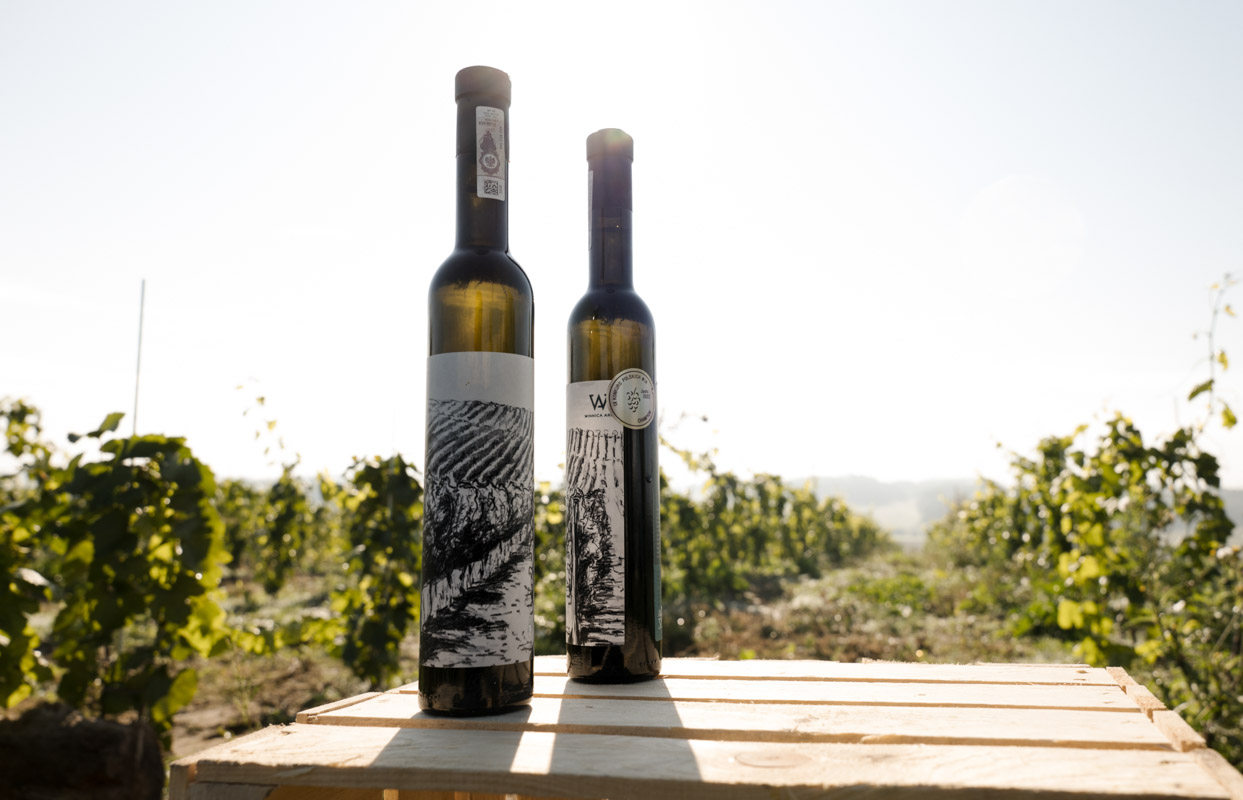 wino-wino lubuskie-winnica lubuska-wino polslodkie