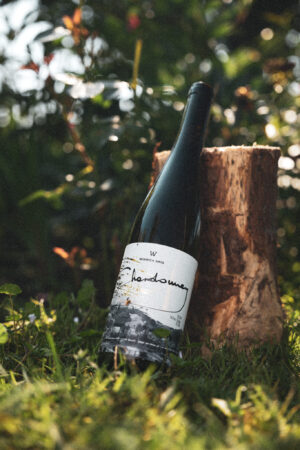 Wino białe półwytrawne - Chardonnay 2024 - obrazek 4