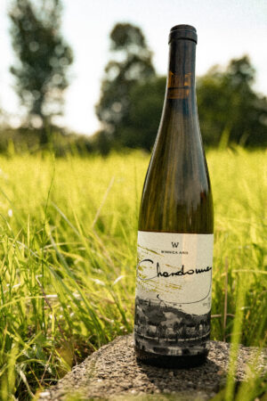 Wino białe półwytrawne - Chardonnay 2024 - obrazek 3
