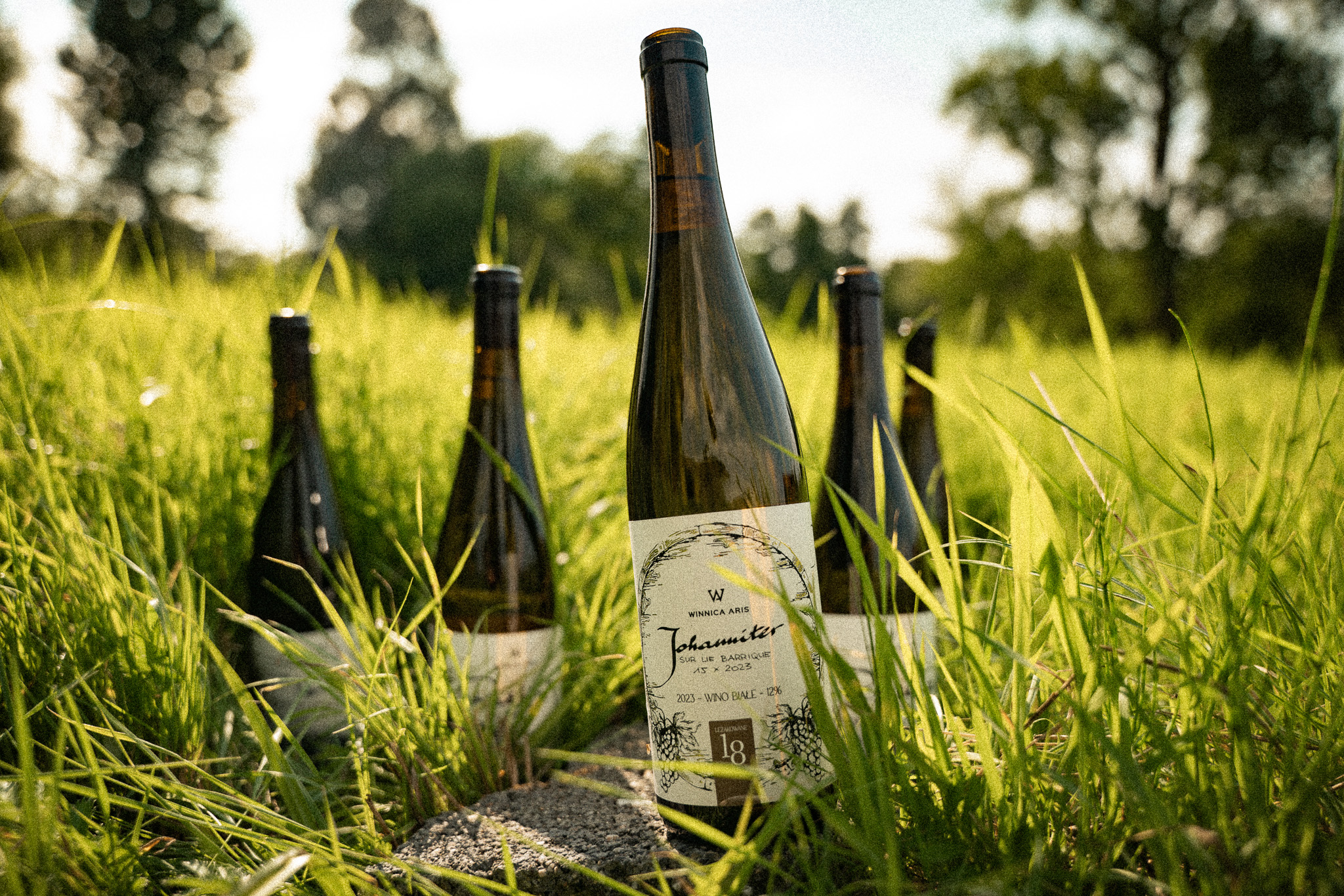 Wino Białe – Johanniter Sur Lie Barrique – 2023