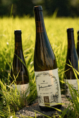 Wino Białe - Johanniter Sur Lie Barrique - 2023 - obrazek 2