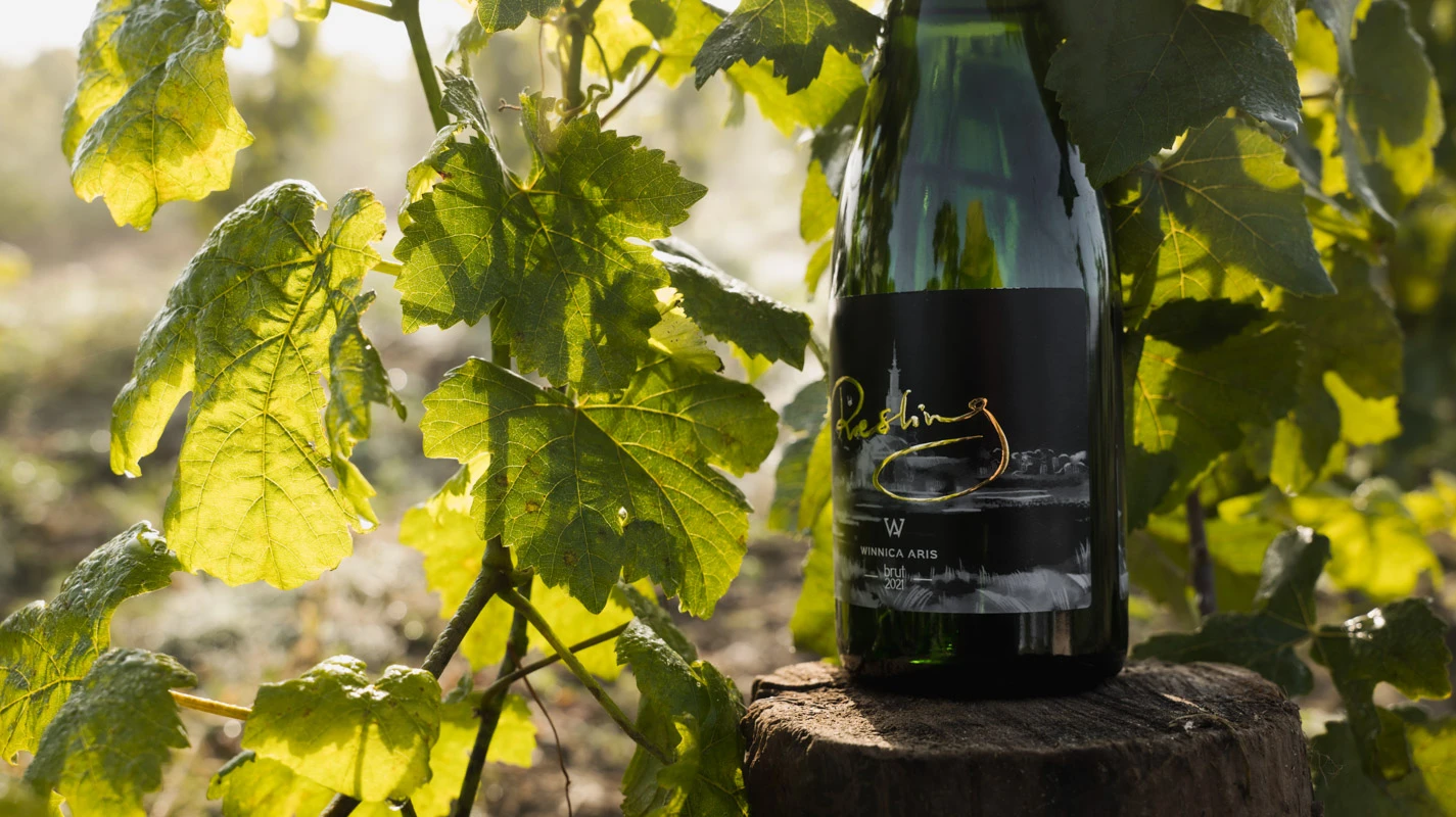 Ciemna butelka wina Riesling ustawiona na drewnianym pniu pośród soczyście zielonych liści, oddająca Terroir Lubuskie.